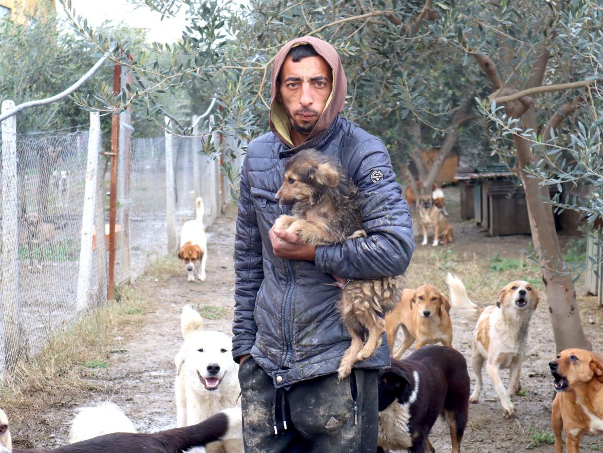 Fredi, ein junger Mann, der auf der Straße geboren wurde - ein Streunermensch sozusagen - ist 24 Stunden im Tierheim »Elbasan  Cares About Animals« von Vera, Mimoza und Marjana vor Ort. 