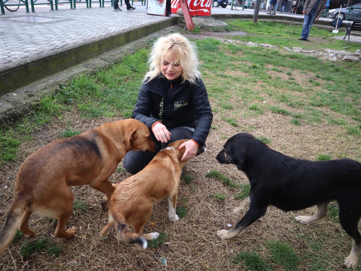 Marion Löcker, Gründerin und Vorsitzende des österreichischen Tierschutzvereins »Robin Hood«, reiste nach Elbasan in Albanien, um sich ein Bild von der Lage der Streunerhunde zu machen.