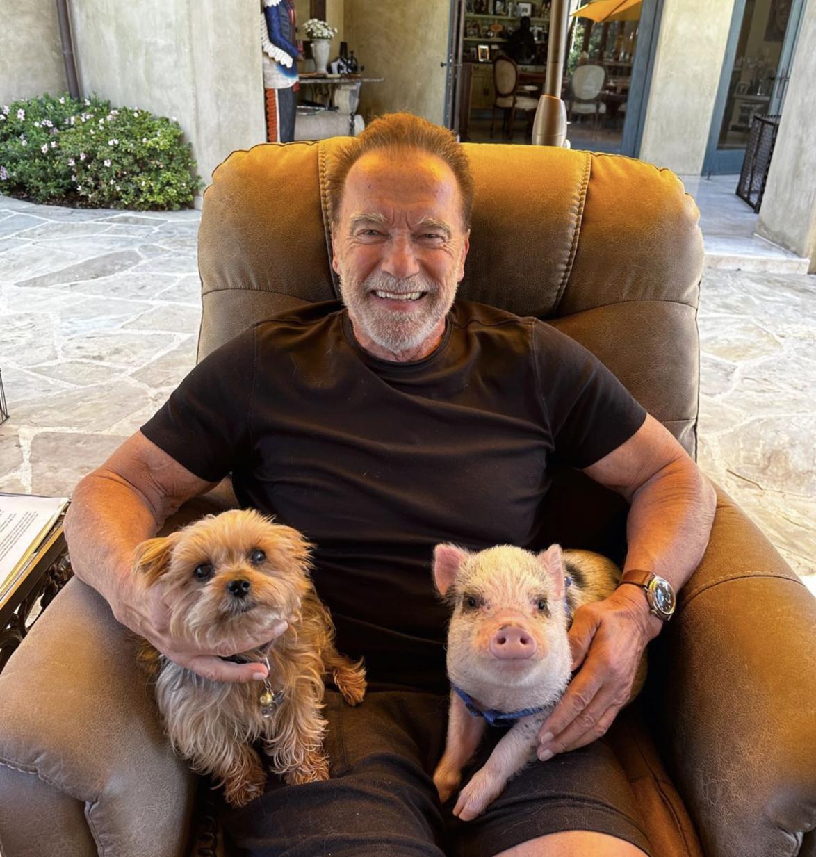 Der Hollywoodstar zeigt sich auf Instagram mit Minischwein »Schnelly«. Die Botschaft: Schweine sind Freunde und kein Essen!