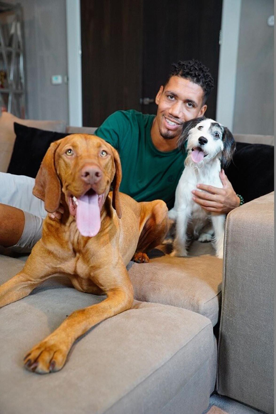 Chris Smalling mit seinen geliebten Hunden