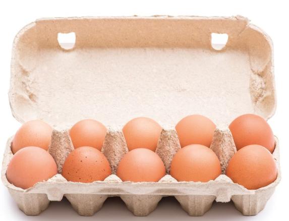 Eine Langzeitstudie zeigt: Jedes halbe Ei pro Tag 