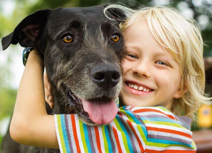 Kinder und Hunde: natürlich beste Freunde