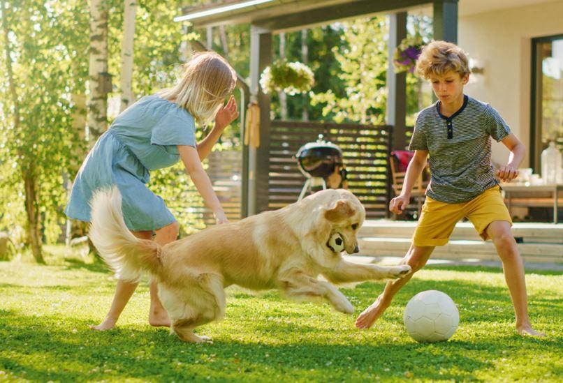 Kinder mit Hund sind körperlich aktiver.