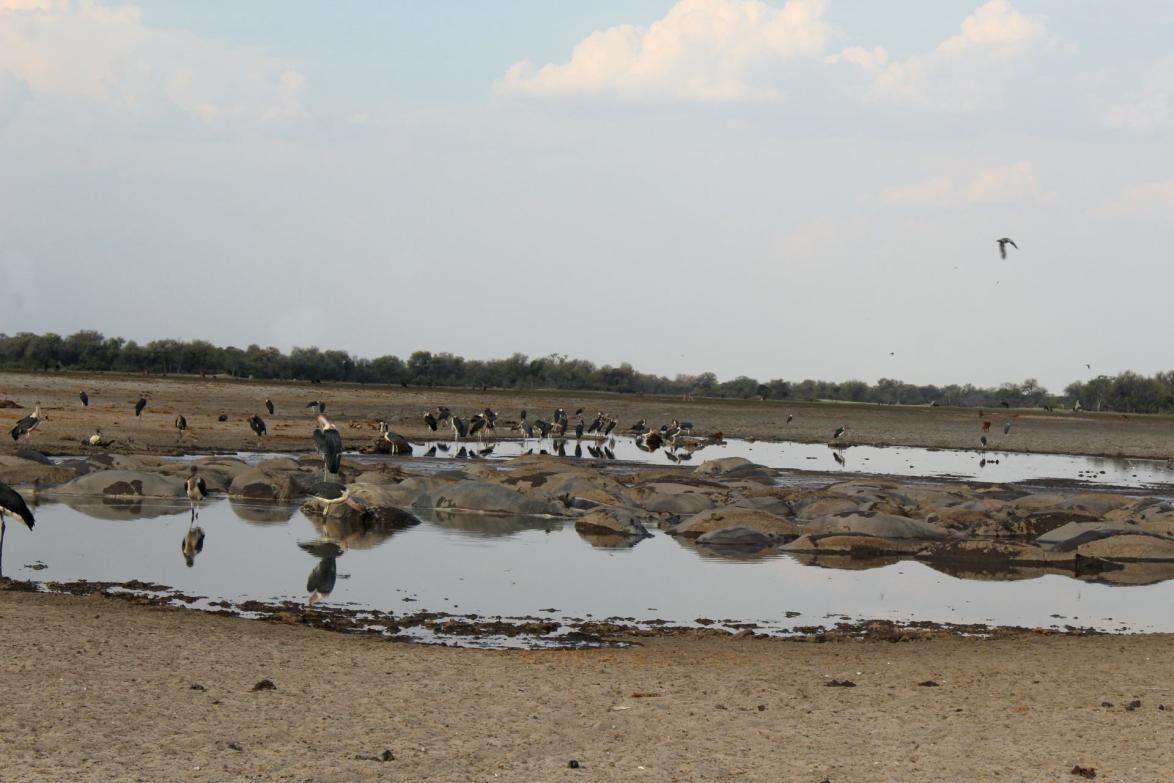 Klimawandel und Erderwärmung sind in Botswana