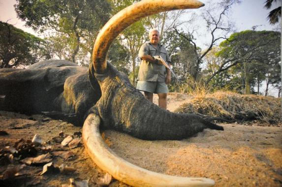 Wer in Mosambik einen Elefanten schießen will, 