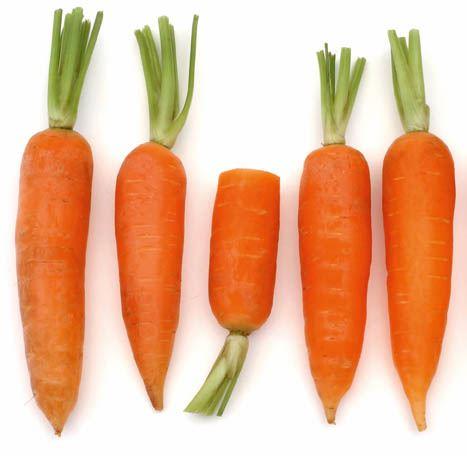 Karotten sollten am besten täglich