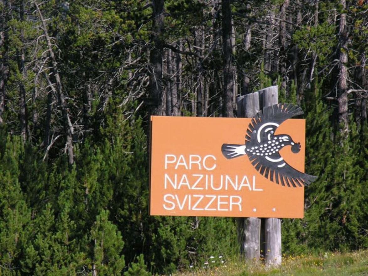 Logo-Vogel des Schweizerischen Nationalparks 