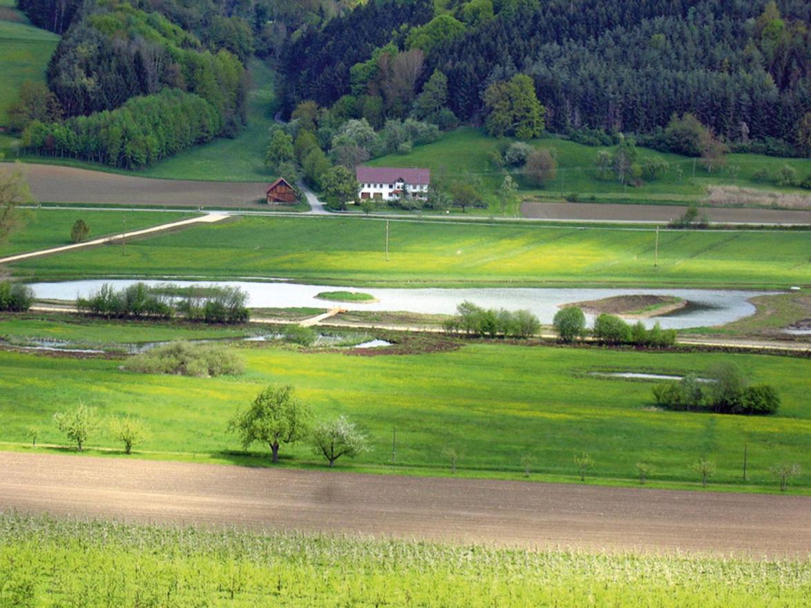 Der Heinz-Sielmann-Weiher auf der Gemarkung Billafingen war einer der ersten neuen Lebensräume des Biotopverbundes Bodensee. 