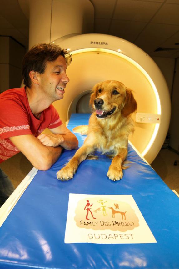 »Hundegehirne können – genauso wie unsere Gehirne