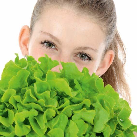 Salate und grüne Gemüse 